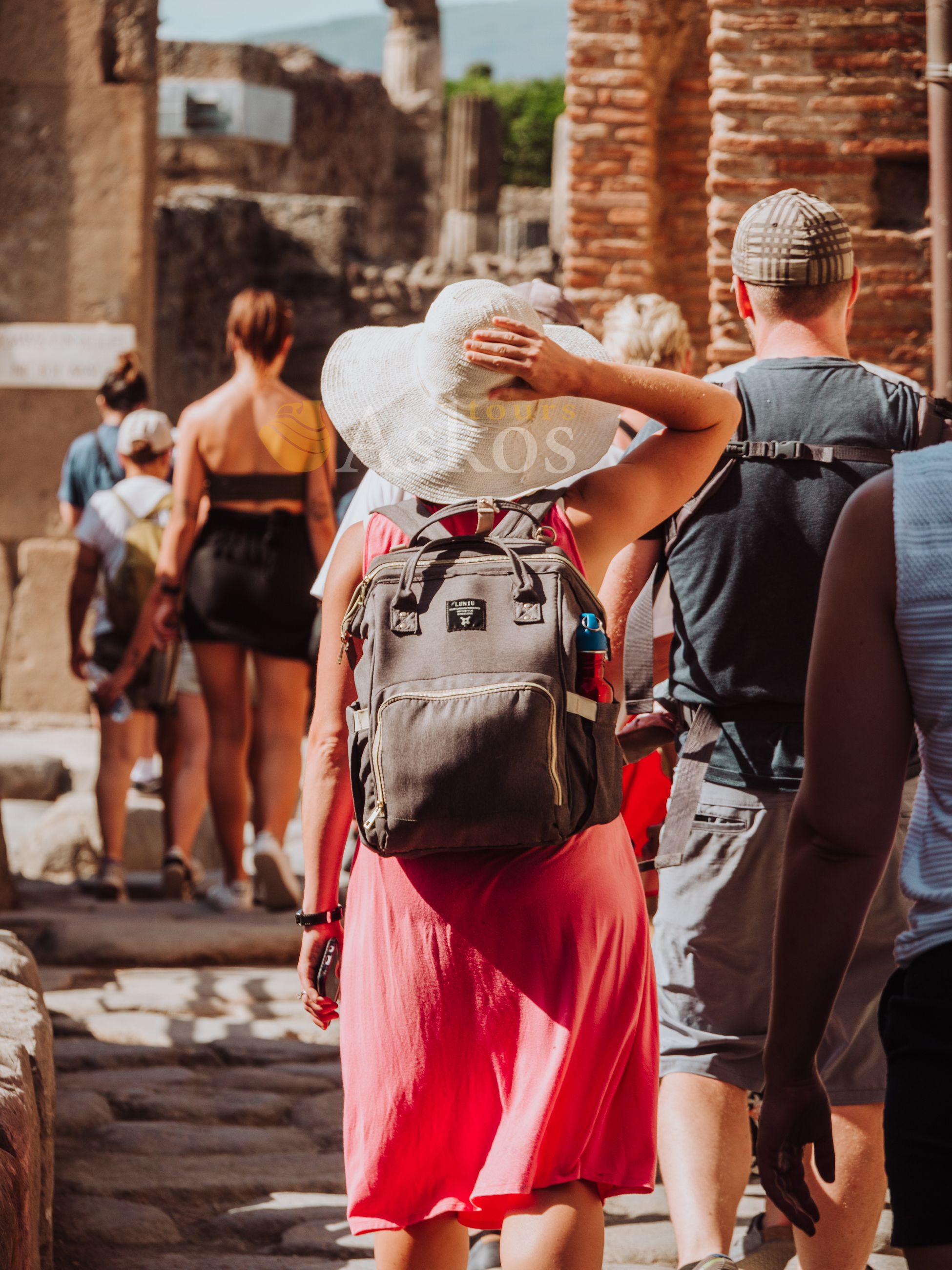 stampa-1355647 copia